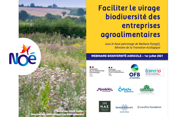 Revivez Le Webinaire Biodiversite Agricole