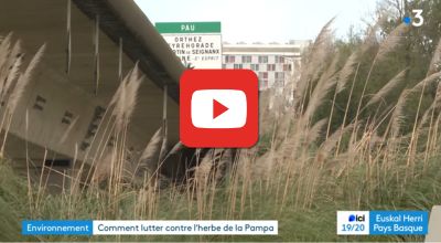 Retrouvez le reportage de France 3 Nouvelle-Aquitaine sur YouTube